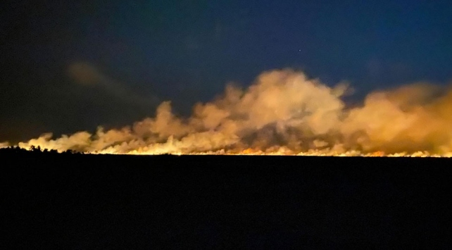 Samsun’un Terme ilçesinde sazlık alanda Yangın