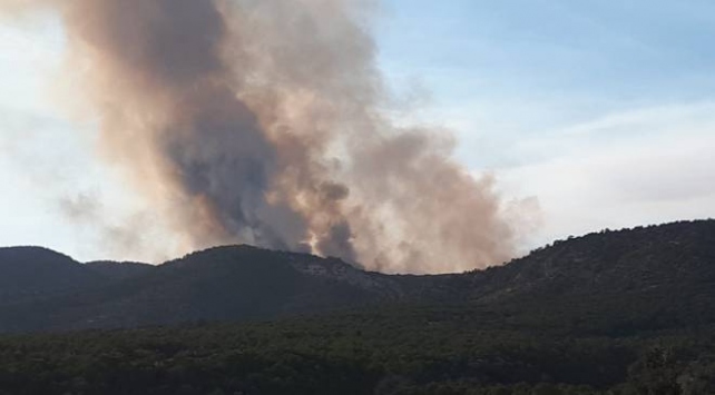 Nallıhan’daki orman yangını kontrol altına alındı