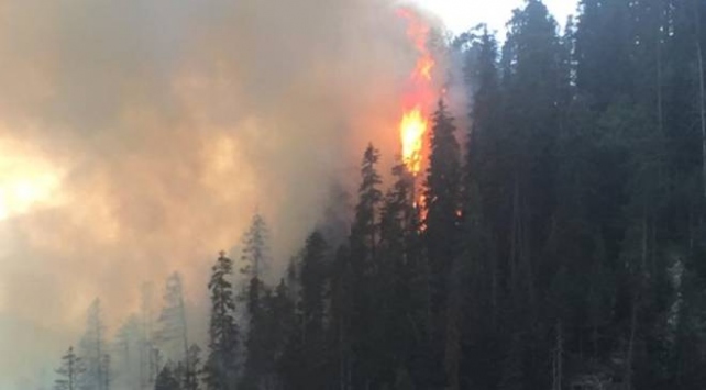 4 hektarlık alanın zarar gördüğü orman yangını söndürüldü