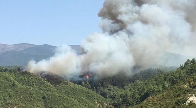 Hatay’da orman yangını 3 yerleşim yerini tehdit ediyor
