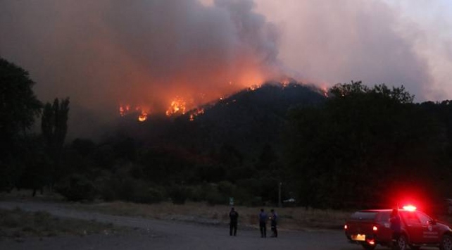 Adana’daki orman yangınına müdahale tekrar başladı
