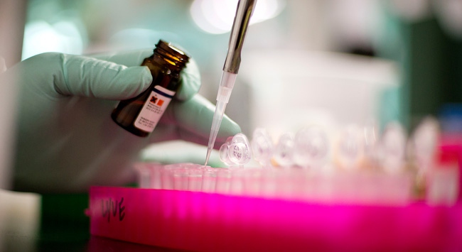 Almanya’daki laboratuvarlarda koronavirüs testi alarmı