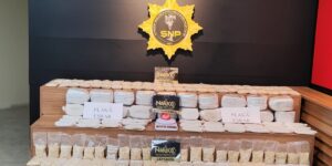 Şanlıurfa NARKOTİM’den Flaş Operasyon