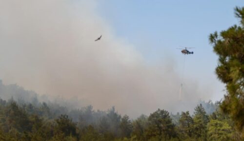 İzmir’in Ciğerleri Yanıyor: Orman Yangını Felaketi