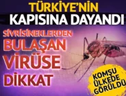 Sivrisineklerden bulaşan virüse dikkat!