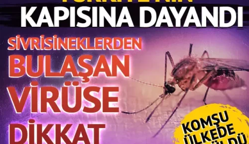 Sivrisineklerden bulaşan virüse dikkat!