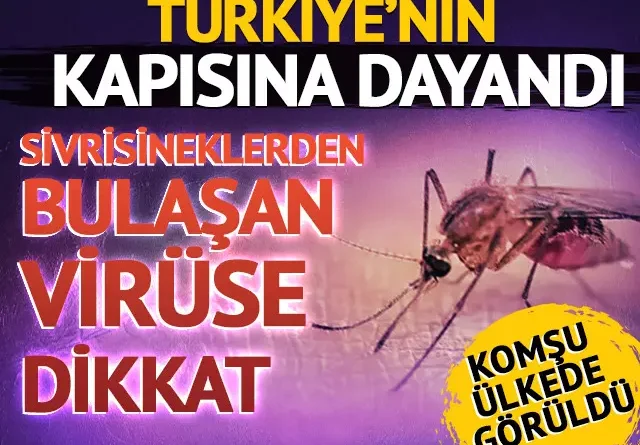 Sivrisineklerden bulaşan virüse dikkat!